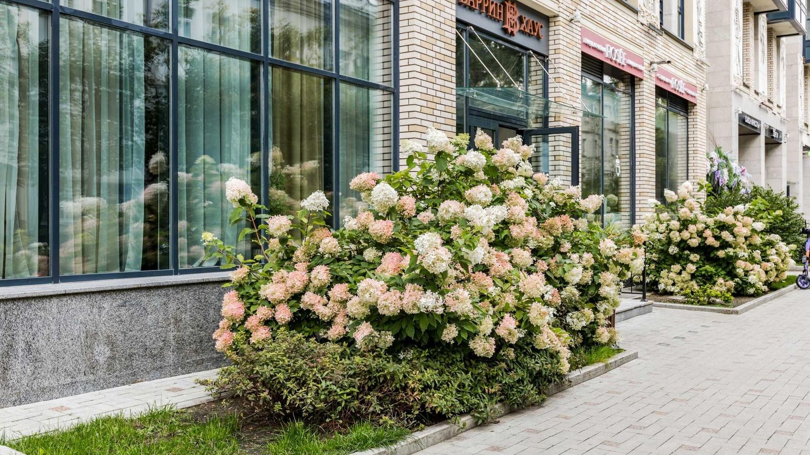 Barrin House — фотография комплекса